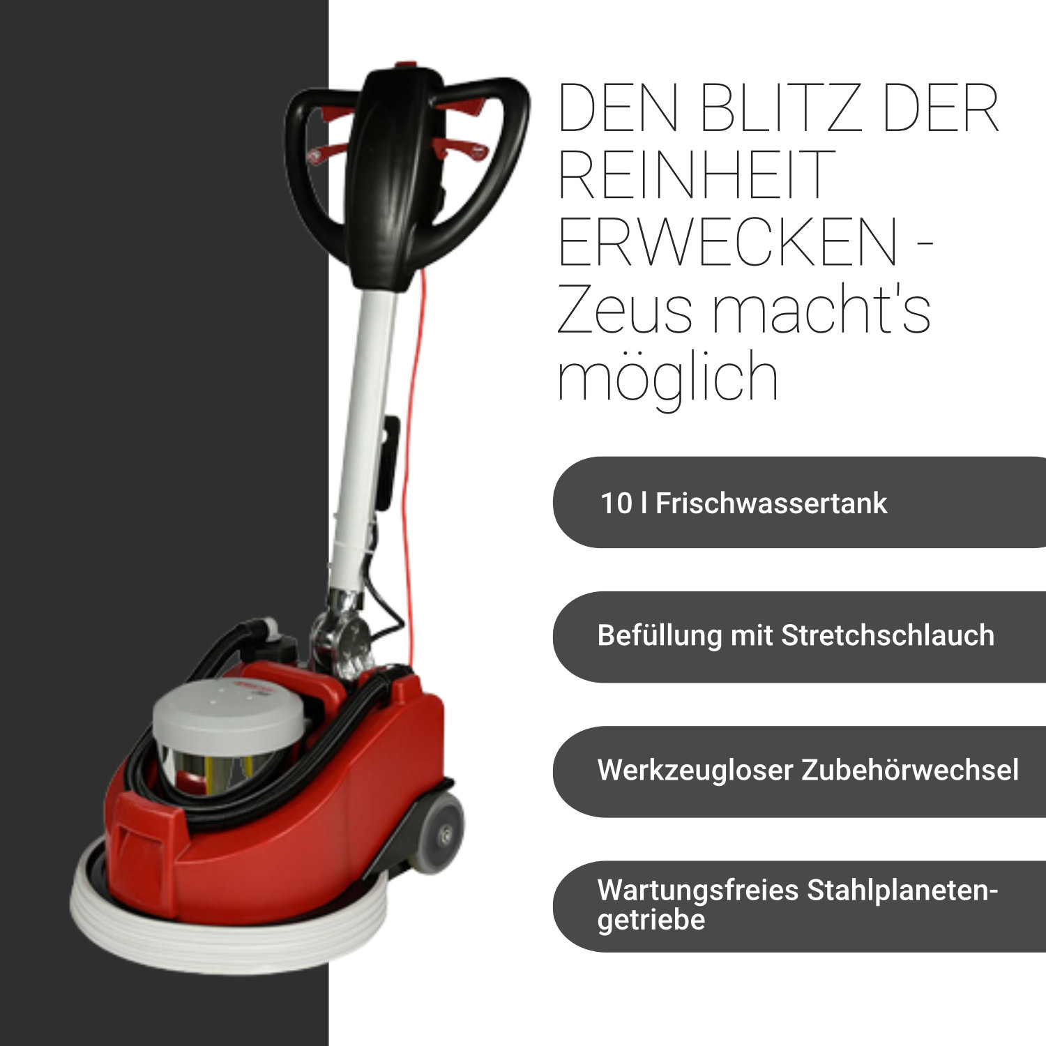 Zeus Einscheibenmaschine inkl. Tank, Bürsten und Treibteller