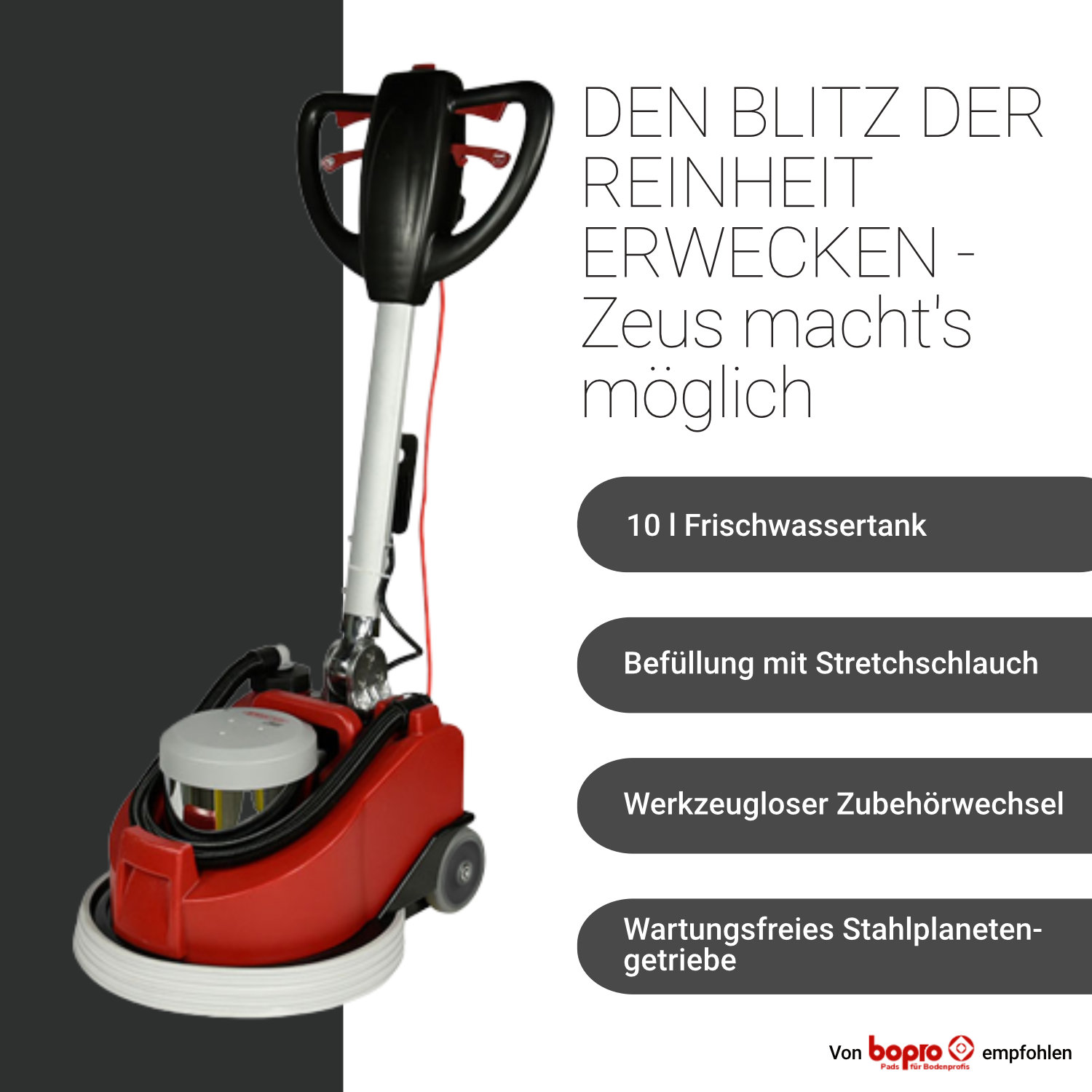 Zeus Einscheibenmaschine inkl. Tank, Bürsten und Treibteller