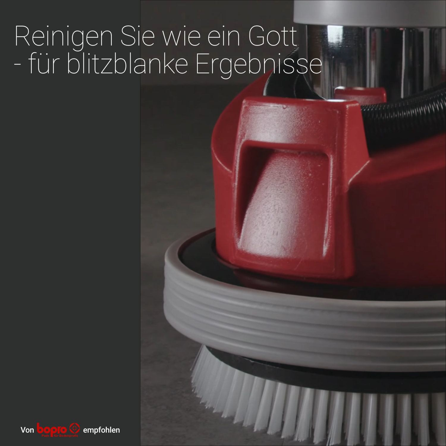 Zeus Einscheibenmaschine inkl. Tank, Bürsten und Treibteller