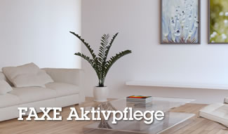 Aktivpflege von FAXE