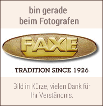 Eiche dunkel färben